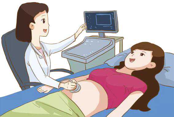 试管婴儿促排方案详解,试管代孕权威医院有哪些,专业私人借卵代怀服务