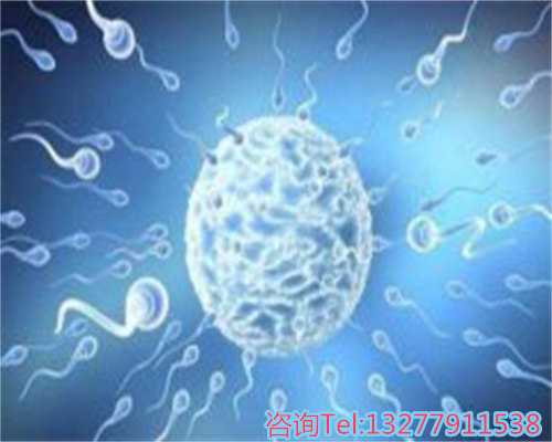 成都试管借卵医院排名？借卵试管费用多少？,代孕行业第一口碑