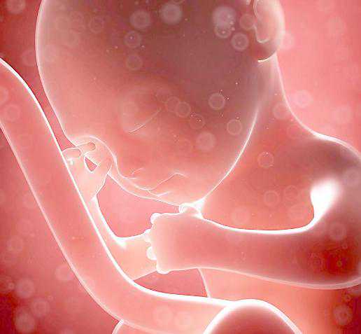 助孕捐卵机构-子宫内膜异位影响怀孕吗